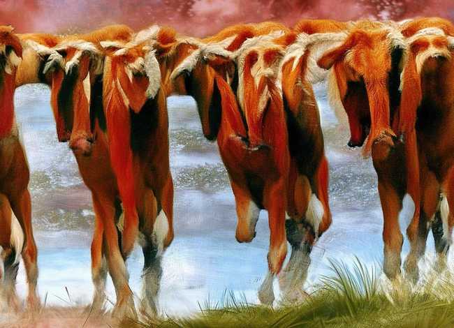 王熙凤的故事情节概括、关于王熙凤的10个故事(150~200字)