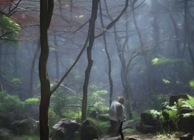 借东风故事概况，借东风故事情节概括 50字