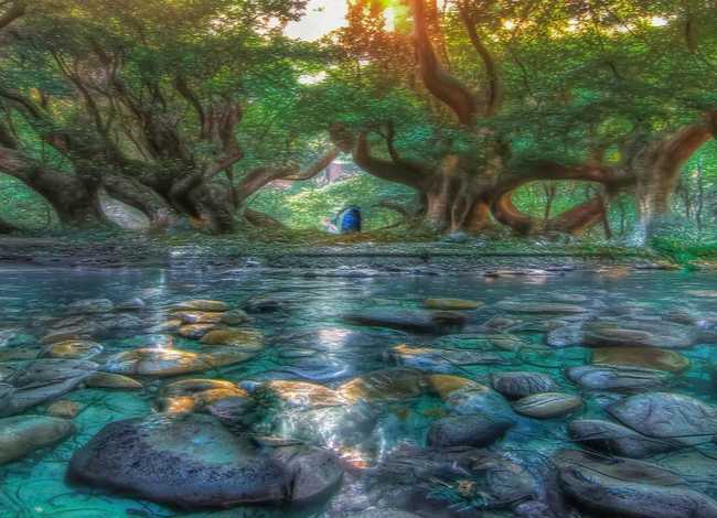 关于家乡的儿童故事、王二小的故事50字 关于家乡的儿童故事、王二小的故事50字