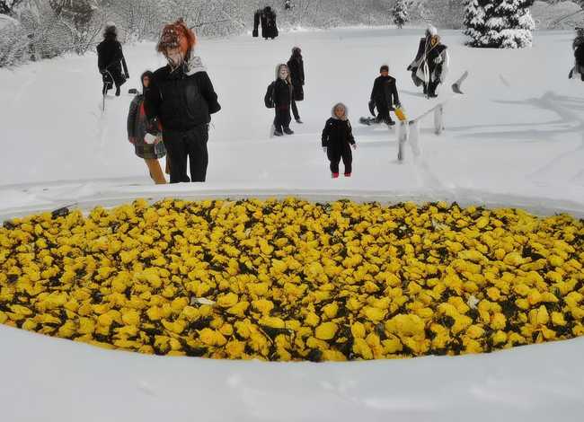 屈原的故事简短50字(屈原自沉泪罗江故事简介50字) 屈原的故事简短50字(屈原自沉泪罗江故事简介50字)