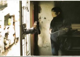 燕子搭窝的过程怎样写30字 燕子垒窝