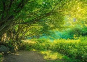 沼泽里的故事主要讲什么 - 沼泽里的故事告诉我们什么道理