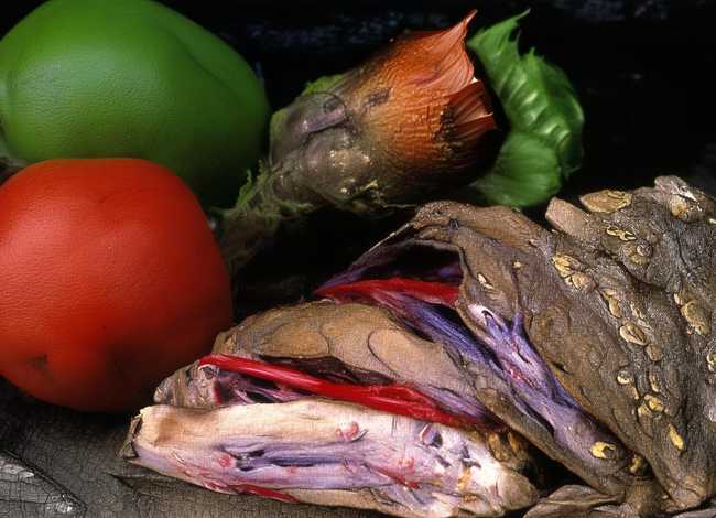 乡村题材小故事；乡村四月编个小故事100字