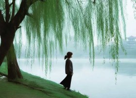 童丽灞桥柳歌曲原唱 - 童丽的《灞桥柳》 歌词