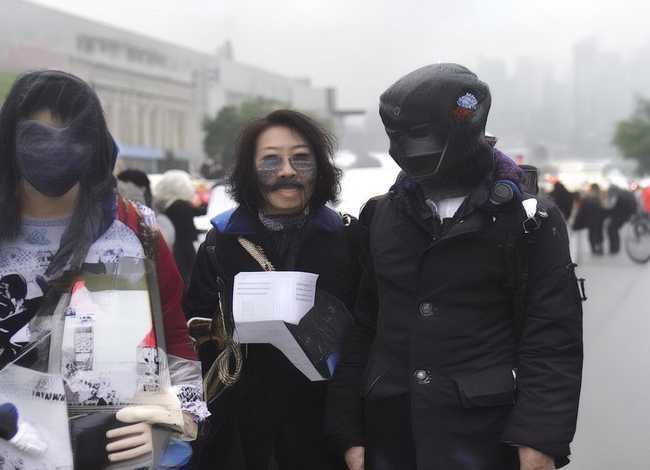 关于老树的故事 - 小学语文评课标准有哪些