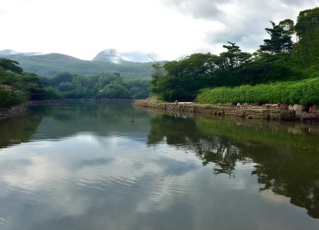 团圆故事绘本、团圆(绘本)的内容简介50字 团圆故事绘本、团圆(绘本)的内容简介50字