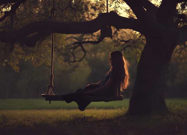 秋千的故事视频（读后感秋千的私语）