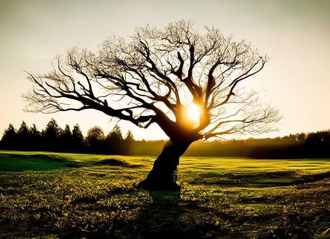 一暴十寒哪个字错了；下列与“一曝十寒”所体现的哲学道理相一致的是( )