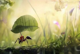 《生命的故事》 生命的故事再卑微也值得尊重