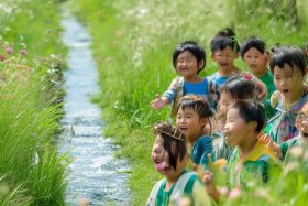 儿童古诗草视屏下载，古诗草视频儿歌