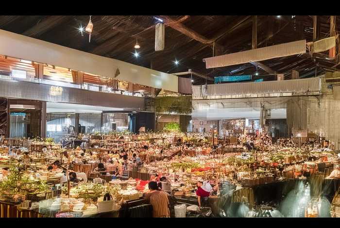 儿童成语故事兔死狐悲(成语故事兔死狐悲100字) 儿童成语故事兔死狐悲(成语故事兔死狐悲100字)