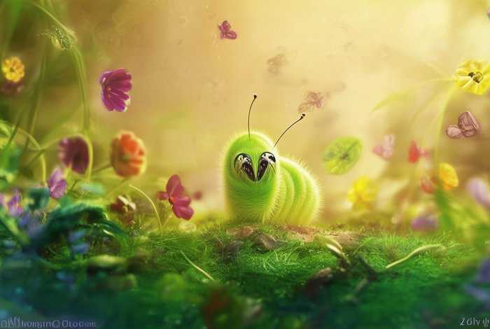 儿童绘本故事推荐小青虫的梦(小青虫的梦绘本故事梗概) 儿童绘本故事推荐小青虫的梦(小青虫的梦绘本故事梗概)