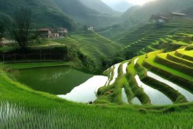 东方稻坝遗址 - 东方市稻坝遗址