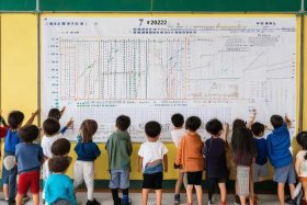 7岁以上儿童身高体重最新标准表2022；7岁以上儿童身高体重最新标准表2022年