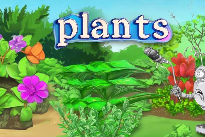 plants怎么读 - plants怎么读,语音