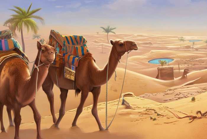 儿童故事骆驼寻宝记 骆驼寻宝记这个故事发生在哪里