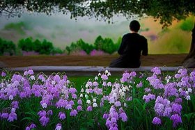 丁香的故事作文450字 丁香的故事作文450字左右