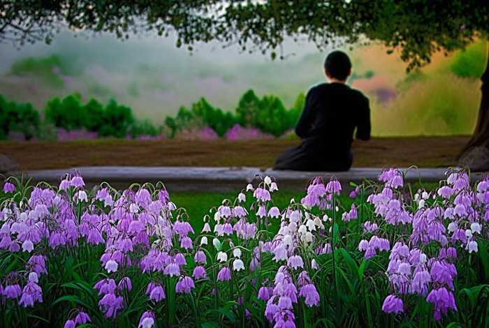 丁香的故事作文450字 丁香的故事作文450字左右