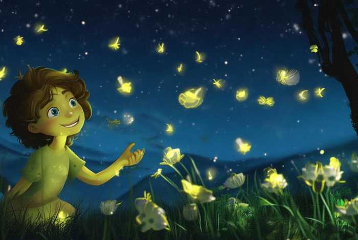 儿童故事萤火虫找朋友读后感、萤火虫找朋友的故事读后感