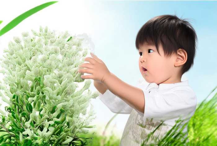 儿童可以吃天麻吗、儿童可以吃天麻吗？