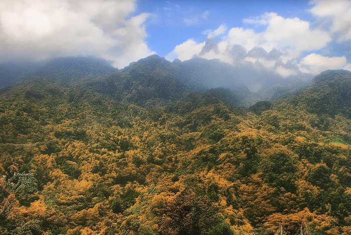 儿童故事贪吃的狼，贪吃的狼故事读后感200字