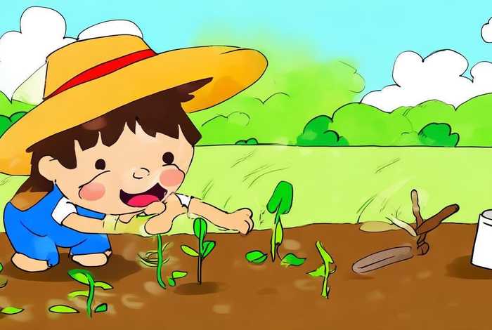 儿童学种菜的视频（儿童种菜的简笔画）