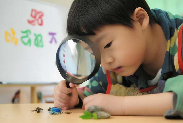 儿童探究观察记录 儿童探究观察记录怎么写