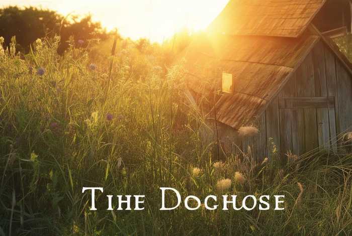 《狗窝》这首小诗的作者；《狗窝》这首小诗的作者是谁