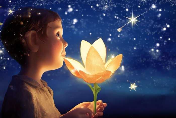 儿童故事流星花讲了什么、流星花故事 阅读理解