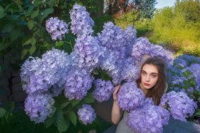 丁香的故事作文 丁香的故事作文怎么写