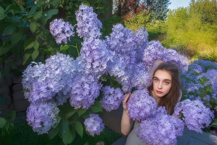丁香的故事作文 丁香的故事作文怎么写