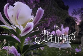 丁香的故事 丁香的故事简谱