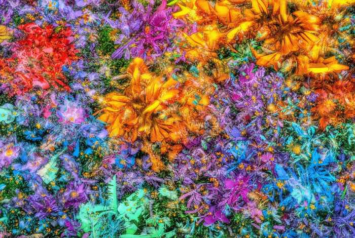 儿童纪实文学，纪实文学杂志有哪些