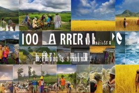 100个真实农村故事，100个真实农村故事视频