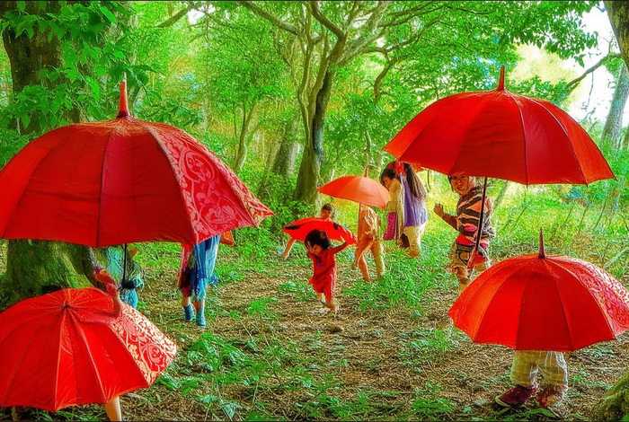 儿童故事《红伞伞》（红伞伞儿童版）