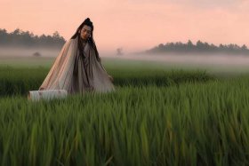 东方稻神，东方稻神在线读