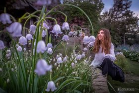 丁香故事 - 丁香的故事作文