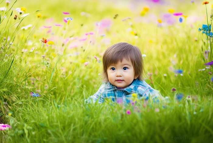 儿童有声故事蜻蜓，蜻蜓幼儿故事