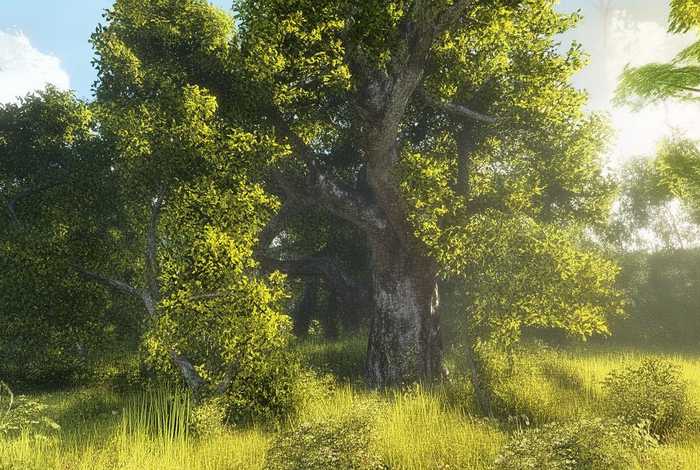 儿童榕树故事（关于榕树的故事简短）