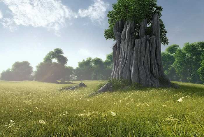 儿童榕树故事（关于榕树的故事简短）