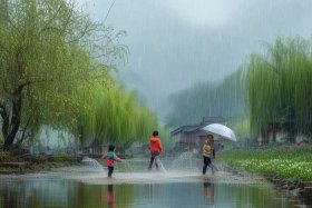 24节气小故事雨水（24节气雨水的故事）