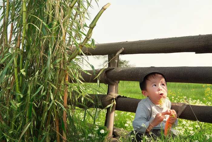 儿童守株待兔的故事注音版 守株待兔故事的拼音版