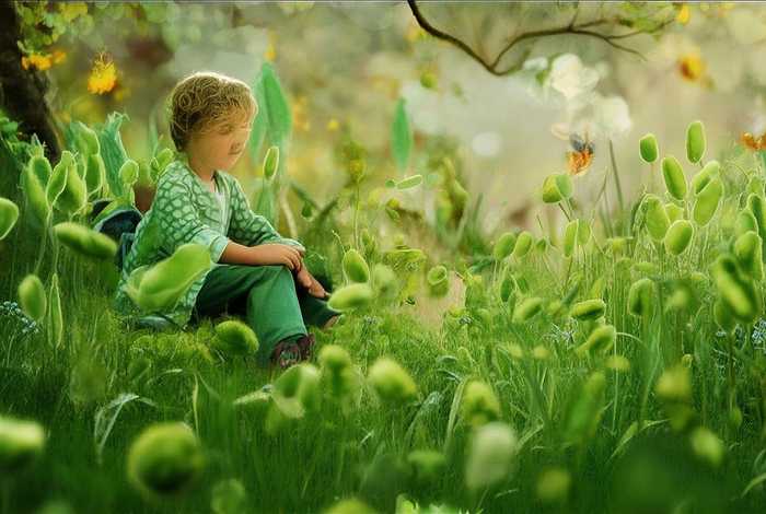 儿童故事豌豆荚的故事（豆荚里的豌豆的故事）