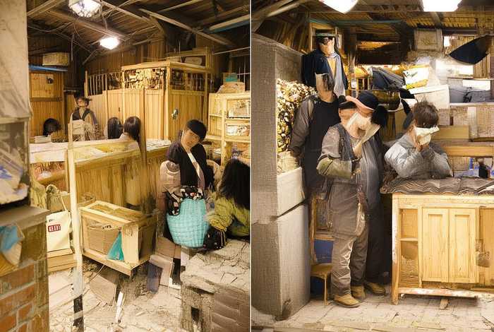 儿童故事贪吃的狼，贪吃的狼故事读后感200字