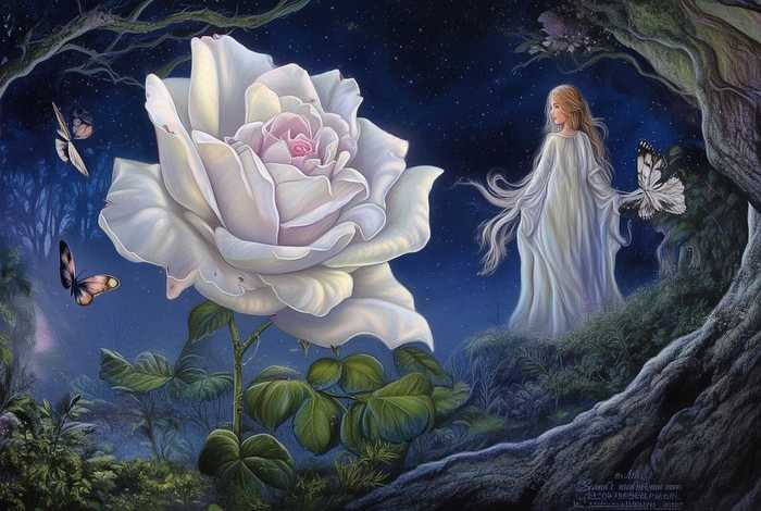 丁香的故事传说，关于丁香的传说故事