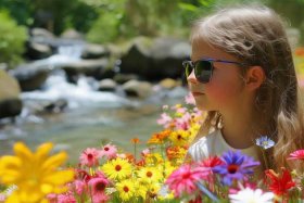 保护眼睛小故事 保护眼睛小故事简短30字