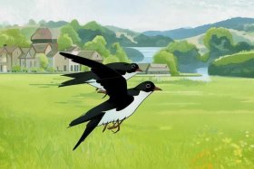 《燕子》的故事；《燕子》的故事内容