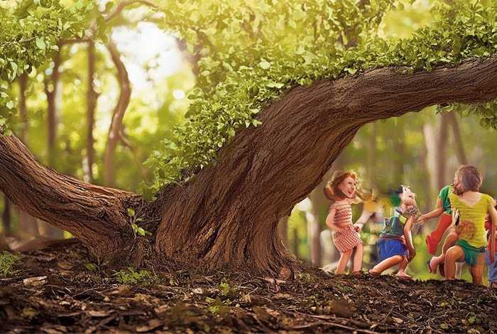 儿童故事粗枝大叶(粗枝大叶的故事) 儿童故事粗枝大叶(粗枝大叶的故事)