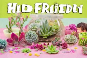 儿童多肉植物介绍 儿童多肉植物介绍图片