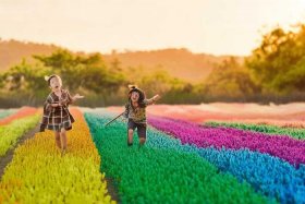 儿歌扁担；儿歌扁担扁担哟是什么歌